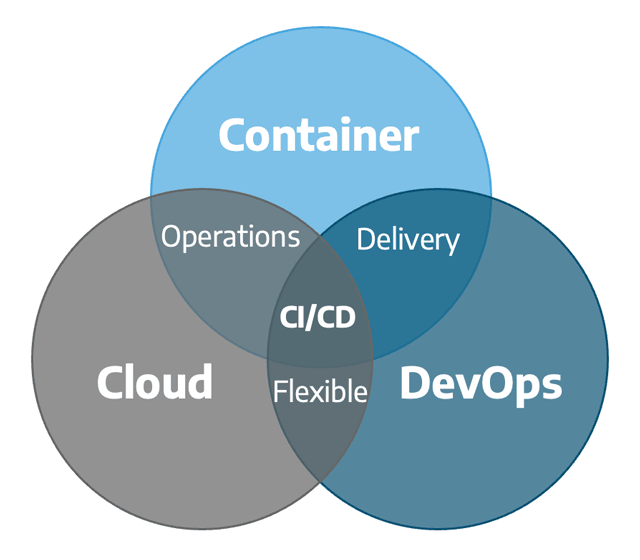 Containerbasierte und Cloudbasierte (Cl/CD) Lösungen für skalierbare Software-Entwicklungsplattformen